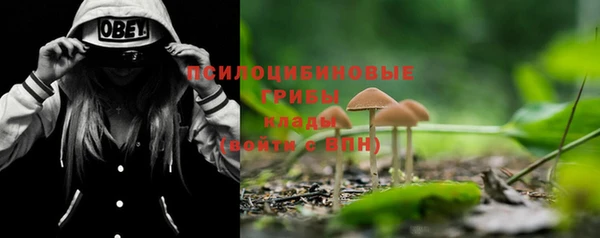 мескалин Бронницы