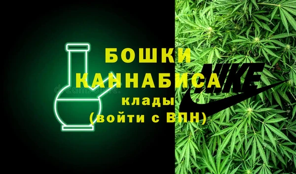 PSILOCYBIN Бородино