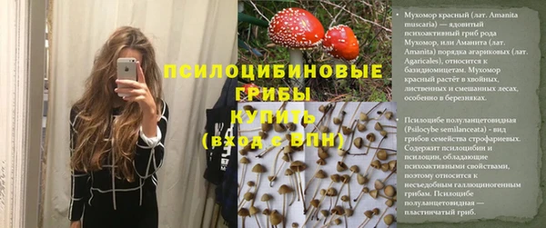 PSILOCYBIN Бородино
