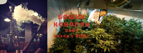 PSILOCYBIN Бородино
