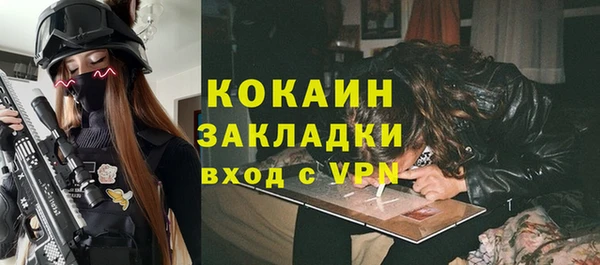 PSILOCYBIN Бородино