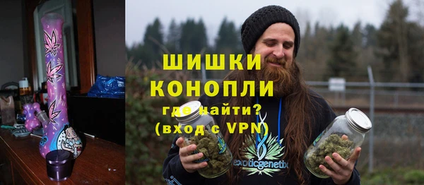 PSILOCYBIN Бородино