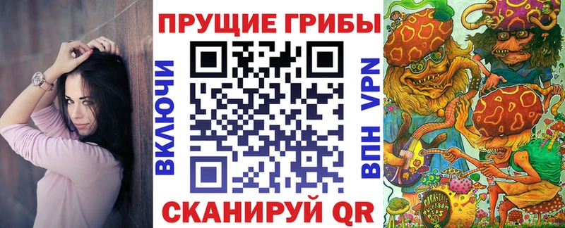 наркошоп  Орехово-Зуево  Псилоцибиновые грибы GOLDEN TEACHER 